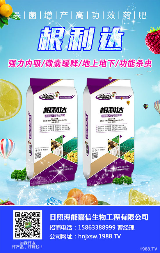 白菜根腐病有哪些危害癥狀?該如何防治?白菜根腫病的識(shí)別與防治!