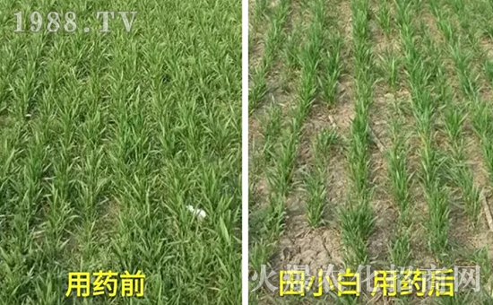 ��(ji��)��(ji��)����η�������ʲôˎ����ô��ˎЧ������