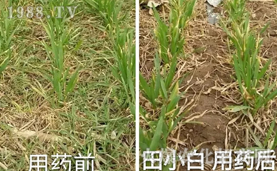 ��(ji��)��(ji��)����η�������ʲôˎ����ô��ˎЧ���ã�