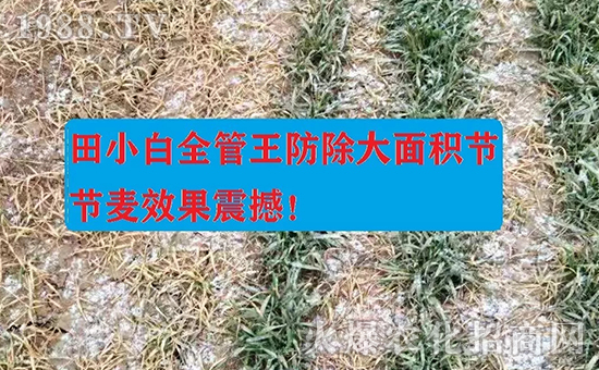 ��(ji��)��(ji��)����η�������ʲôˎ����ô��ˎЧ������