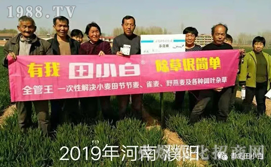 39��(ji��)��(ji��)����η�������ʲôˎ����ô��ˎЧ������