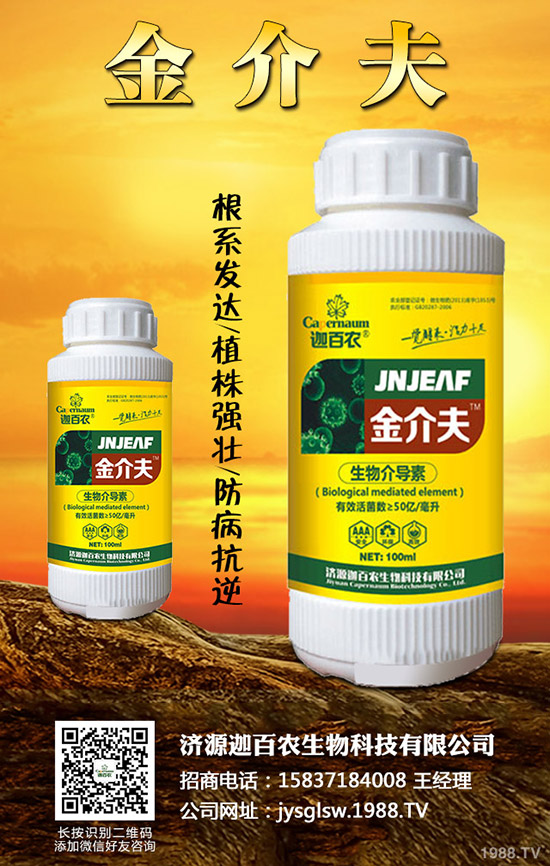 ���������o��������ô�k�������o���������\���c������