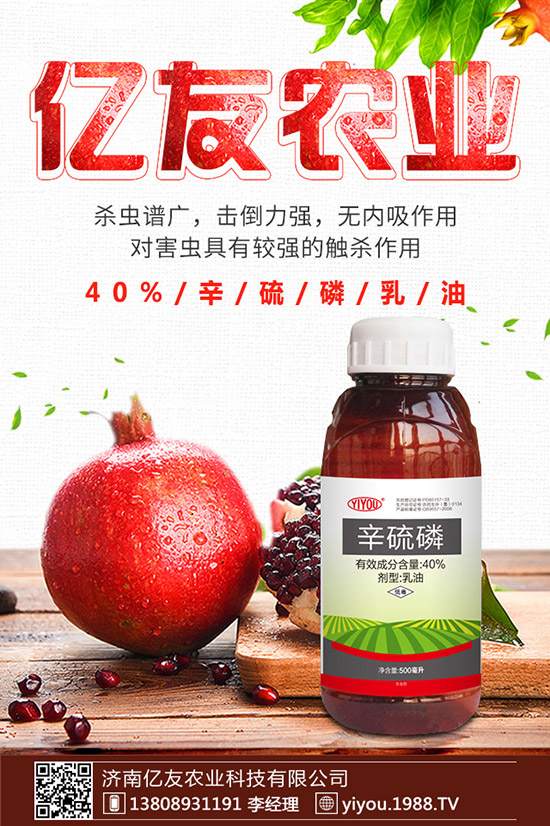 �D÷�N����ô�N���D÷�N�ӷNֲ������