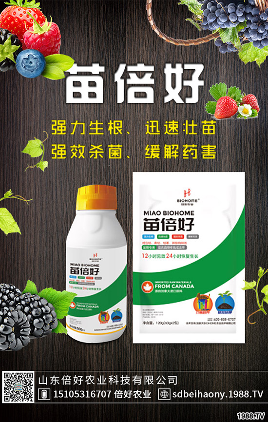 ����ʲô�r(sh��)��Nֲ������ʲô�r(sh��)�������