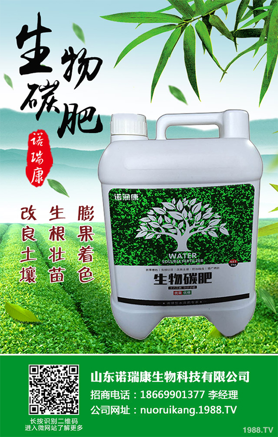 ����������ԓ��ô�N�������@���c(di��n)���p�ɷN����������