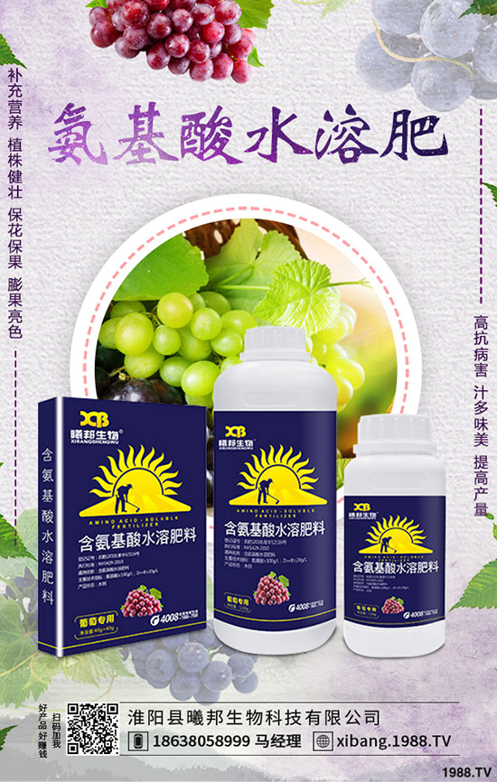 �＾�}����ô�Nֲ���＾�}���Nֲ���g(sh��)������Ҫ�c(di��n)��