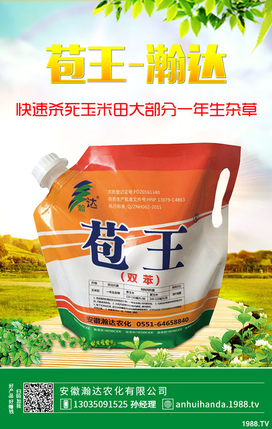 ʯ骻���ô�Nֲ��ʯ骻����B(y��ng)ֳ������