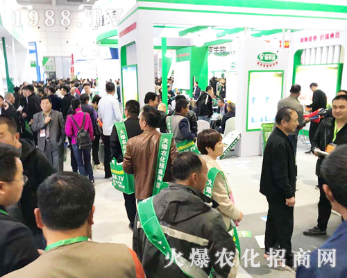 1988.TV���r(n��ng)�����̾W(w��ng)2019ɽ�|��(j��)��ֲ����(hu��)��(d��)���L(f��ng)����