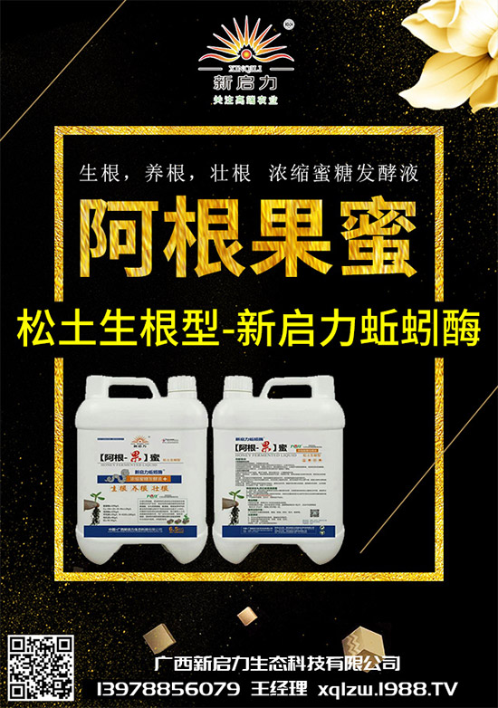 ���{��Ä������ЩΣ��������{�����İl(f��)���c���μ���