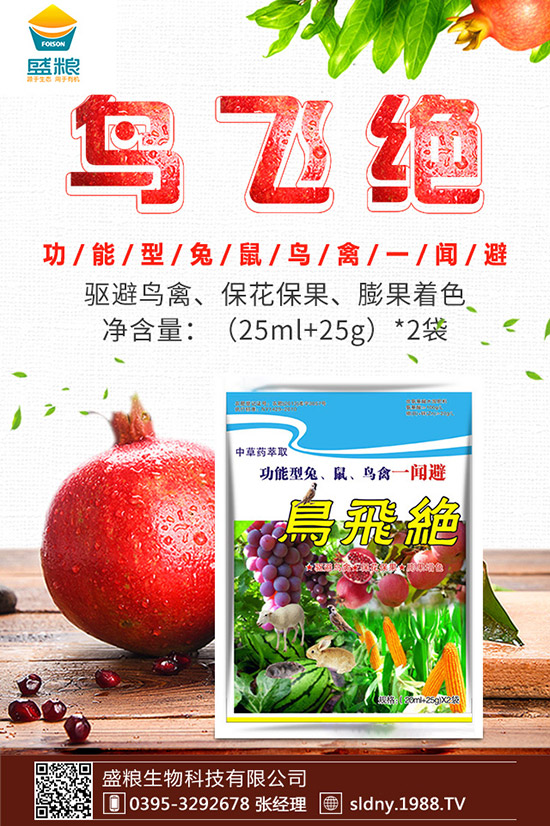 �������t������ڷۣ��������t���ڷ۷�������Щ��