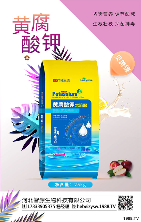 ����ը���ӷNֲ�����¹����༼�g(sh��)��