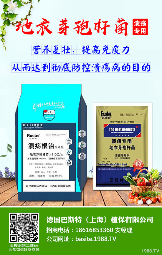 ���Շ���(n��i)�������@����(b��o)�r������������(b��o)2019-10-9