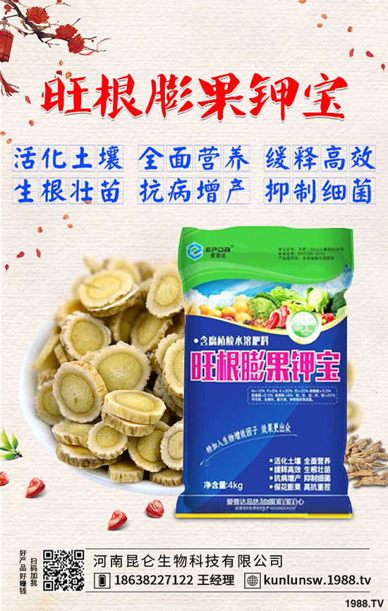 高粱什么時(shí)候種植,高粱田間管理技術(shù)有哪些?