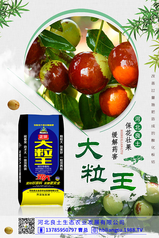 ����仨���ԭ������Щ�������������������