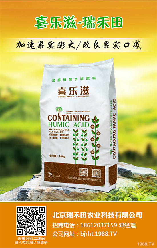 2019年11月12日今日各地尿素廠家報價繼續(xù)下跌!尿素后市預(yù)測!