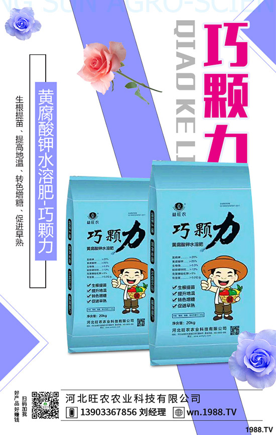 ���؃r(ji��)�����һ�����r(ji��)���»�������2019-11-13���س��S�r(ji��)���A(y��)��(b��o)��