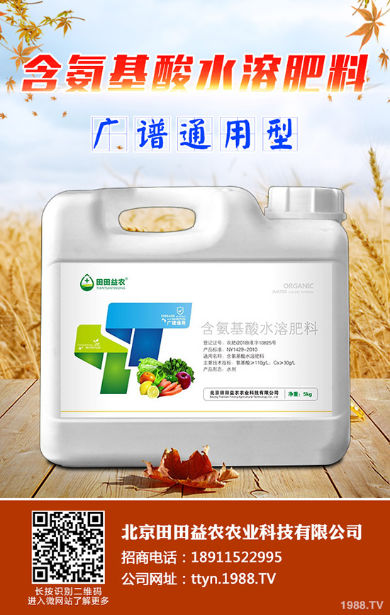 ⛷ʃr���^�m(x��)���{(di��o)��⛷ʃr������һ�[2019-11-14