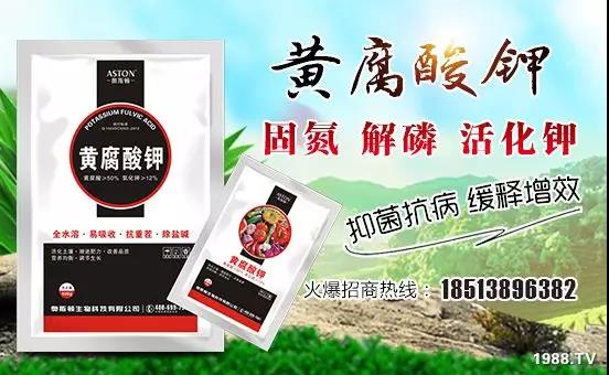 �VԴ�S����⛡�����Ʒ�ʣ�1����=8���ЙC(j��)�����½�Դ�^ֱ�l(f��)������