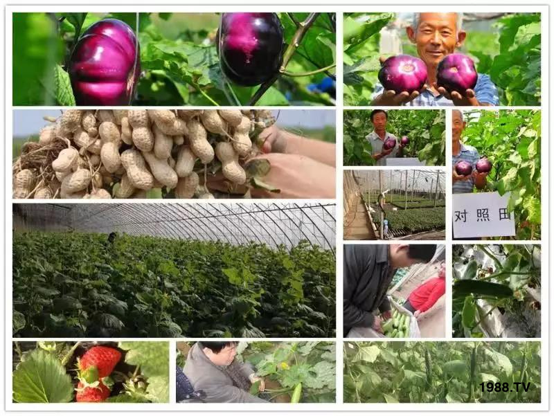 �VԴ�S����⛡�����Ʒ����1����=8���ЙC(j��)�����½�Դ�^ֱ�l(f��)������