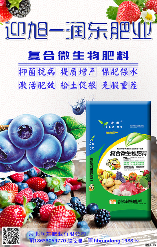 洋蔥定植你掌握了嗎?洋蔥定植及定植后管理方案