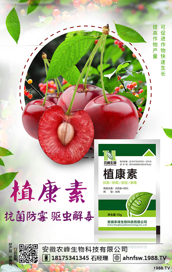 ��(d��ng)�w��ô�Nֲ����(d��ng)�w�NֲЧ�漰���༼�g(sh��)��