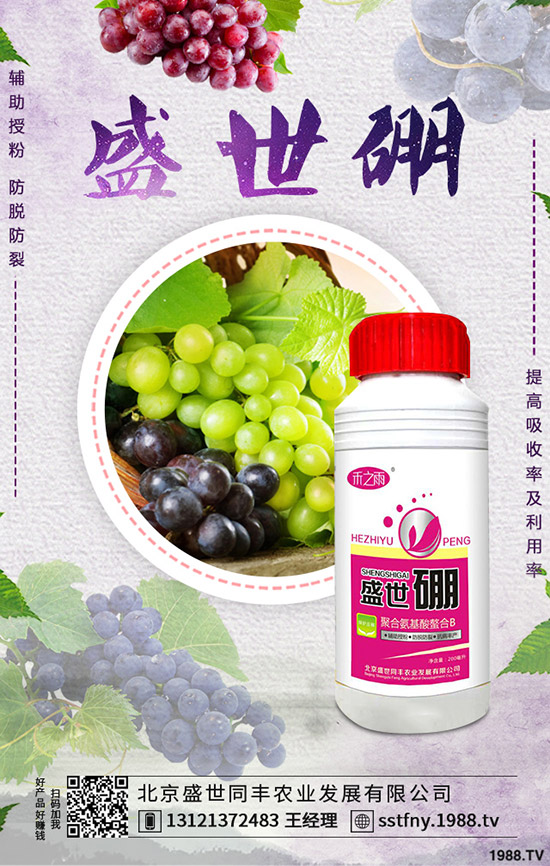 西葫蘆早疫病的發(fā)病原因是什么?如何防治西葫蘆早疫?