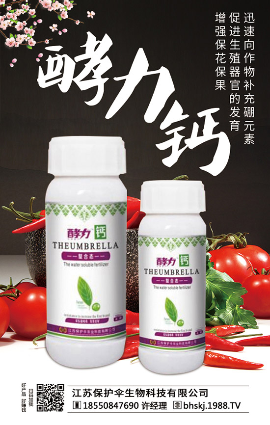 ���K���o(h��)������Ƽ����޹�˾1