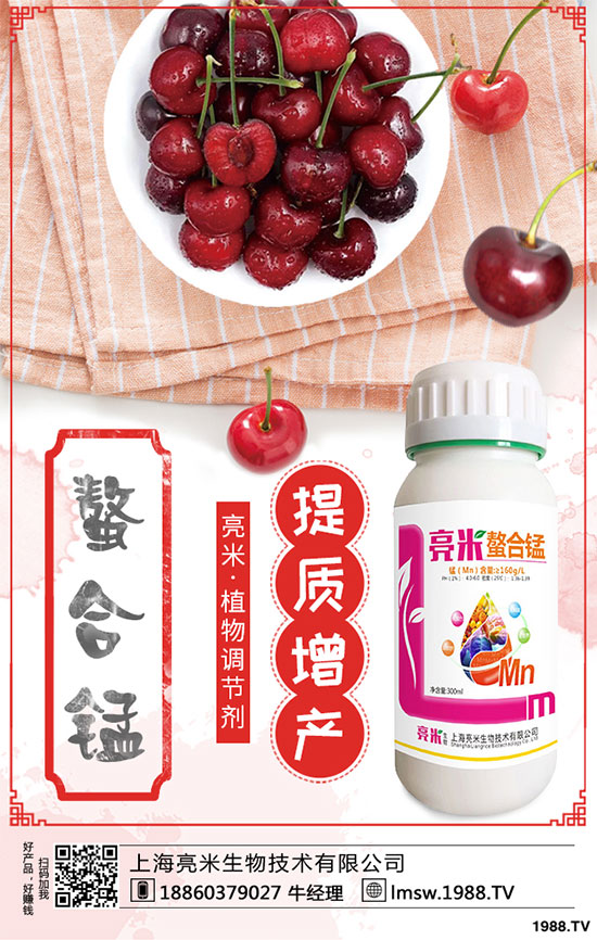 �S�������Щ�I(y��ng)�B(y��ng)�r(ji��)ֵ���S����߮a(ch��n)���༼�g(sh��)