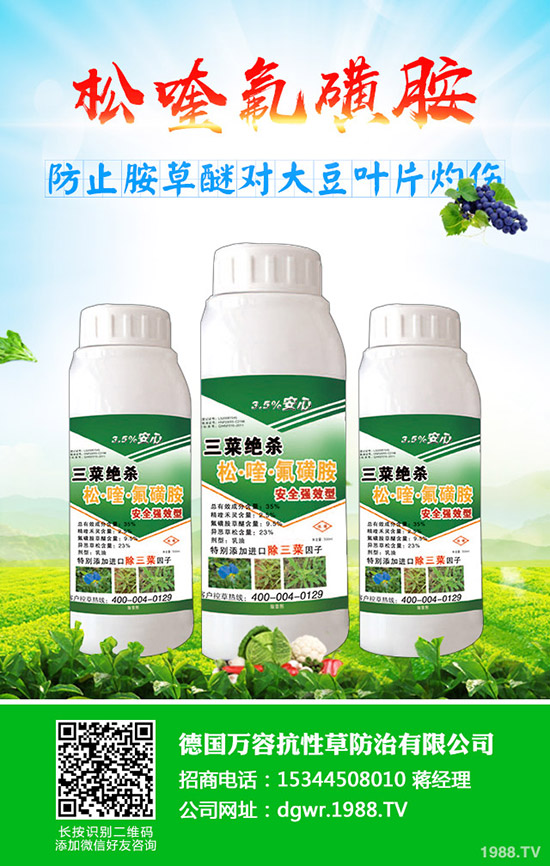 �S��ʲô�r�g�Nֲ���S���ķNֲ��������Щ��