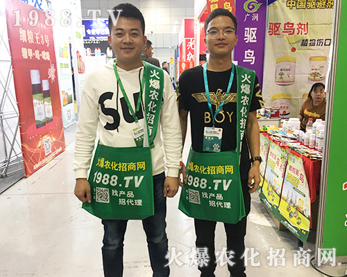     2019ȫ��(gu��)ֲ�����ו�(hu��)��1988.TV���̟o(w��)�ϵK����(sh��)������