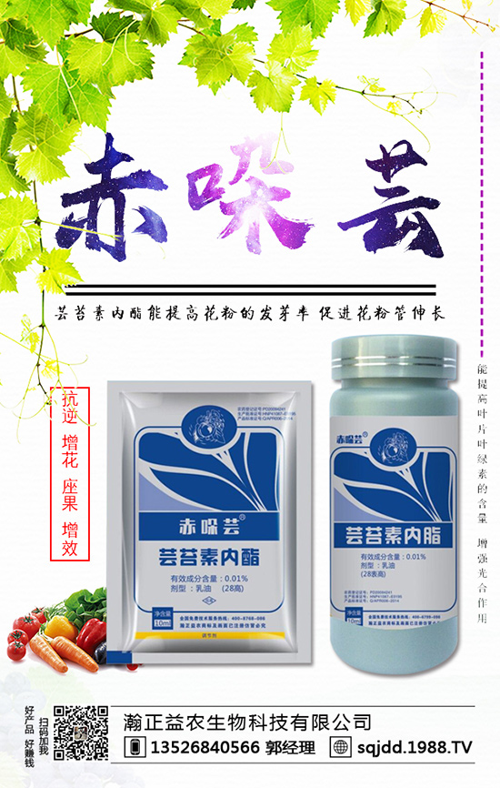 ���t����ʲô����������t��������ķ��η���