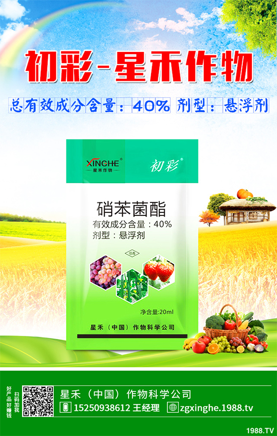     ��䚢�����r(ji��)��