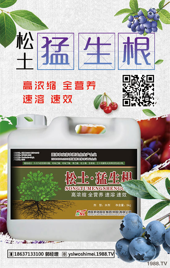 ��������Щ��Ч�����������ӵ�ʳ�ý��ɣ�