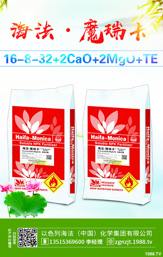     ����������D(zhu��n)��2019��11��27�ո��؅^(q��)�����������S��(b��o)�r(ji��)