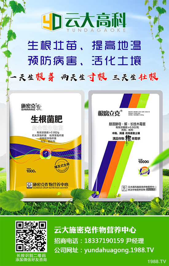 ��������ֲ��Ƥ�Ɇ�����Ƥ�ɶ�����ֲ����