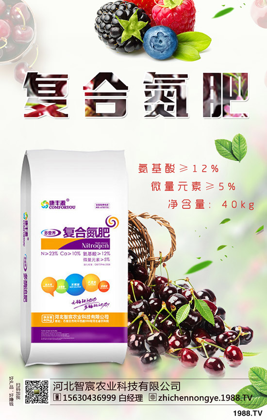 2019.11.29������ӯ̝��߅��ԇ̽���������������Ј���r��