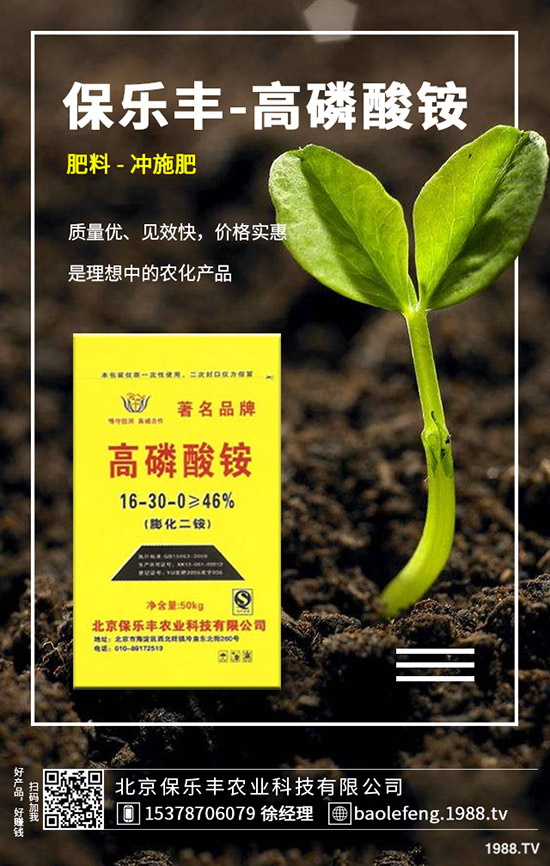 ����(n��i)���@�r����ϝq����2019.11.29���ո������@���S��r��