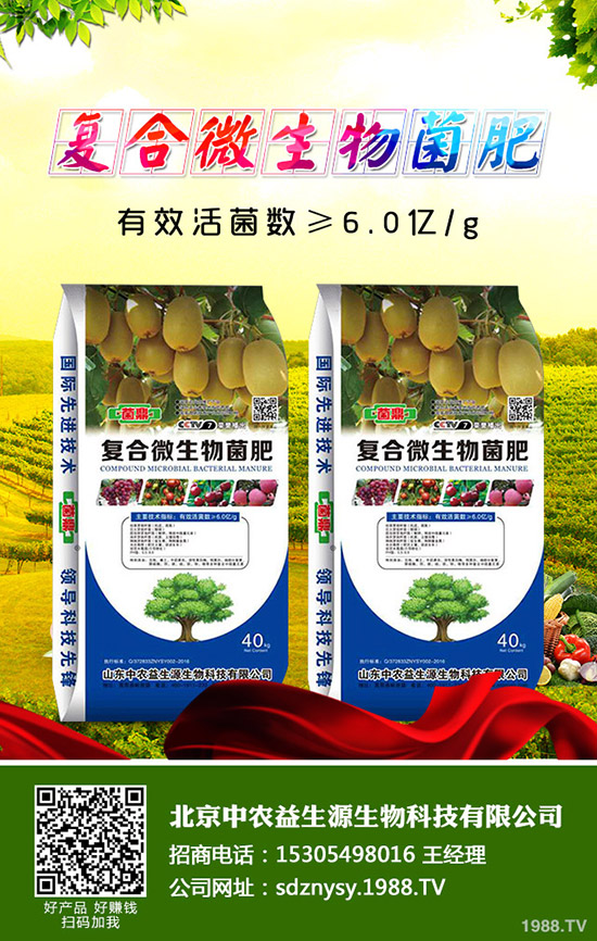 12月復(fù)合肥市場氣氛有望好轉(zhuǎn)!今日復(fù)合肥價格行情走勢分析!2019-11-30