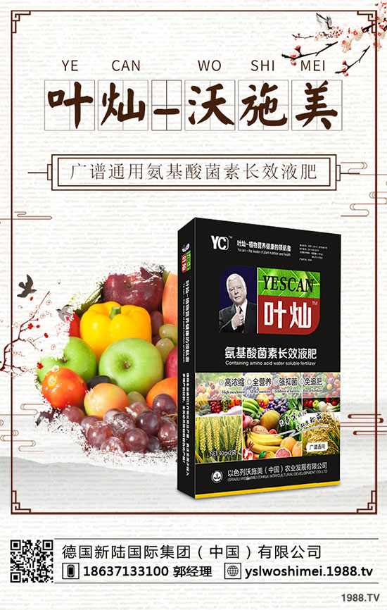 生菜栽培季節(jié)是什么時(shí)候?生菜高產(chǎn)技術(shù)有哪些?