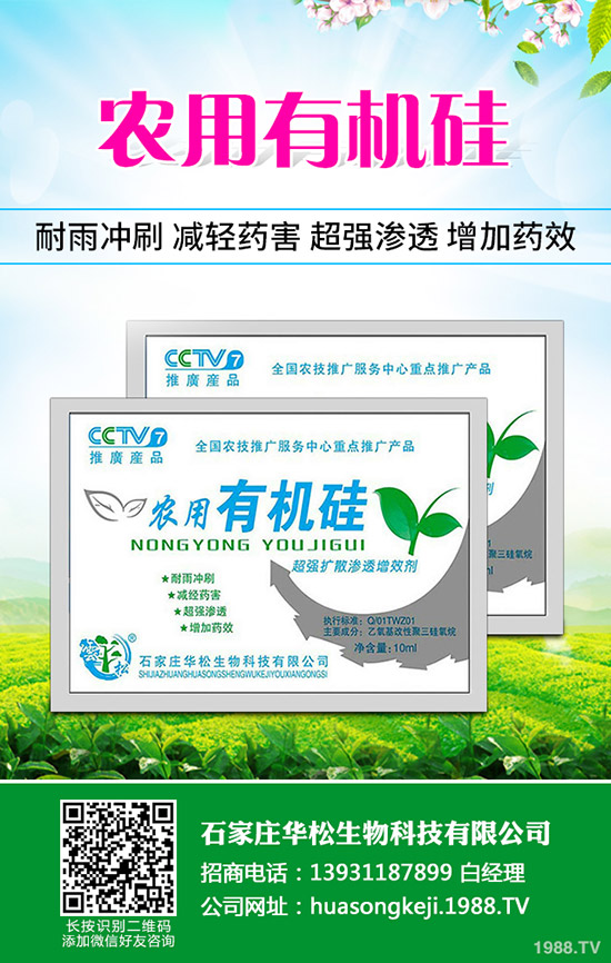 �ʲݵķNֲ��������Щ���ʲݷNֲ��Ҫʲô�ӭh(hu��n)����