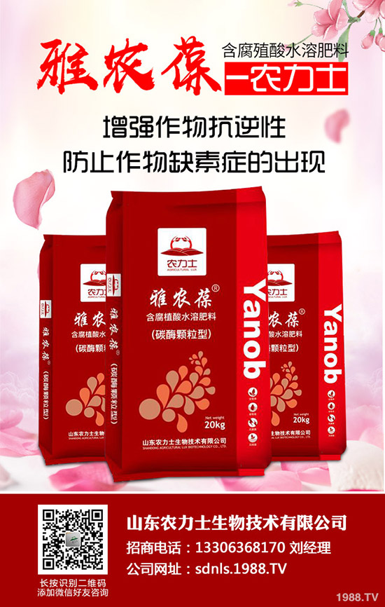     ����δ�_ʼ�����@����δ�������ն��@���³��S�����r��2019-11-5