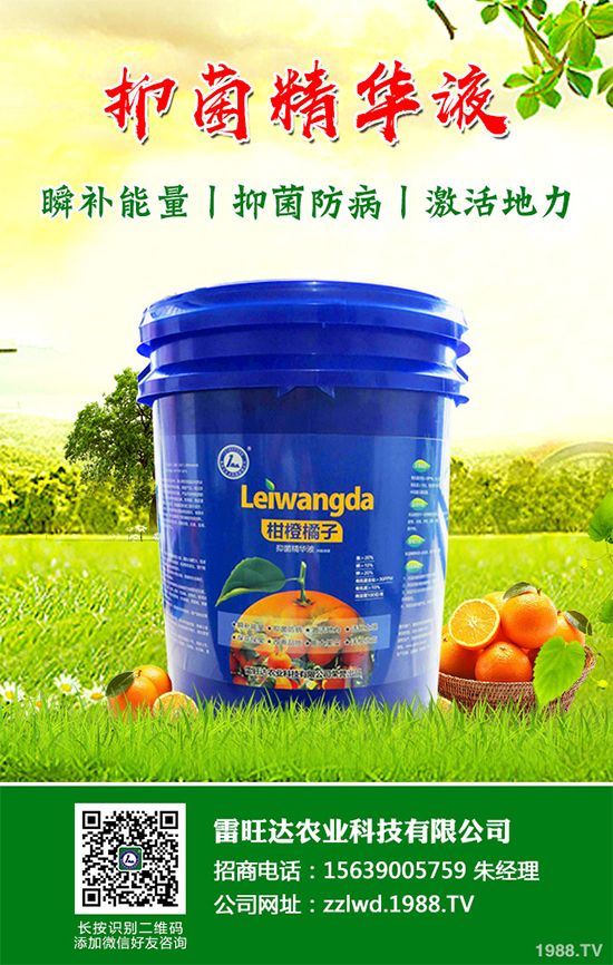 �L�ڵ͜ع��գ��߲��L�ݲ�ԓ��ν�Q�����������a��Ď�헴�ʩ