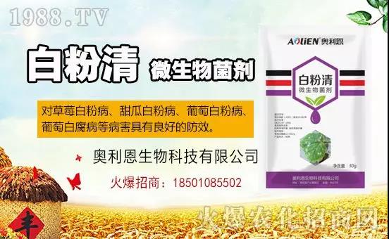 �׷۲�������(f��)�y�p���� ӛס�@��(g��)ˎ����Ч���ΰ׷۲����P����