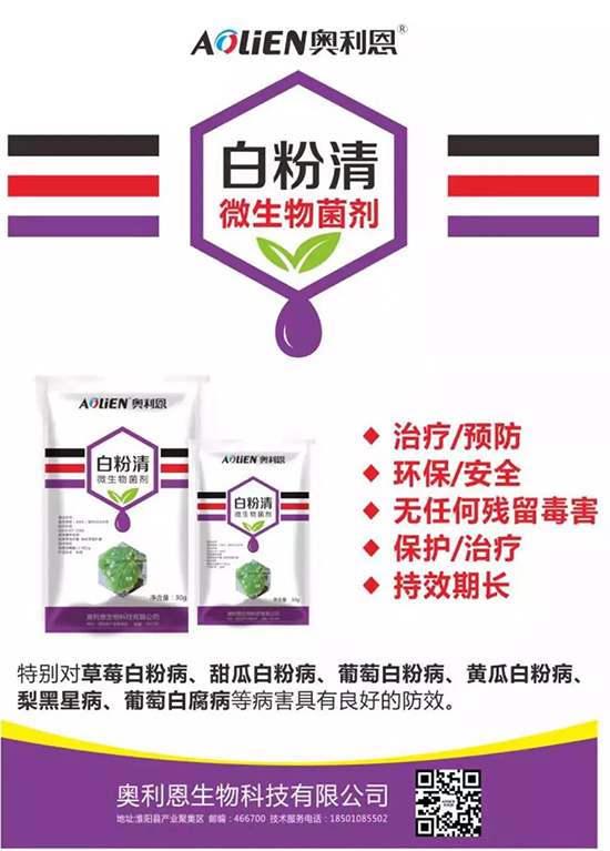 �׷۲�������(f��)�y�p���� ӛס�@��(g��)ˎ����Ч���ΰ׷۲����P����