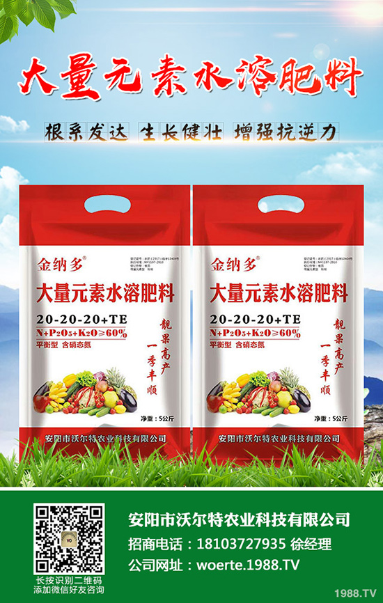 ������ô�N�����۷NֲҪ������Щ��