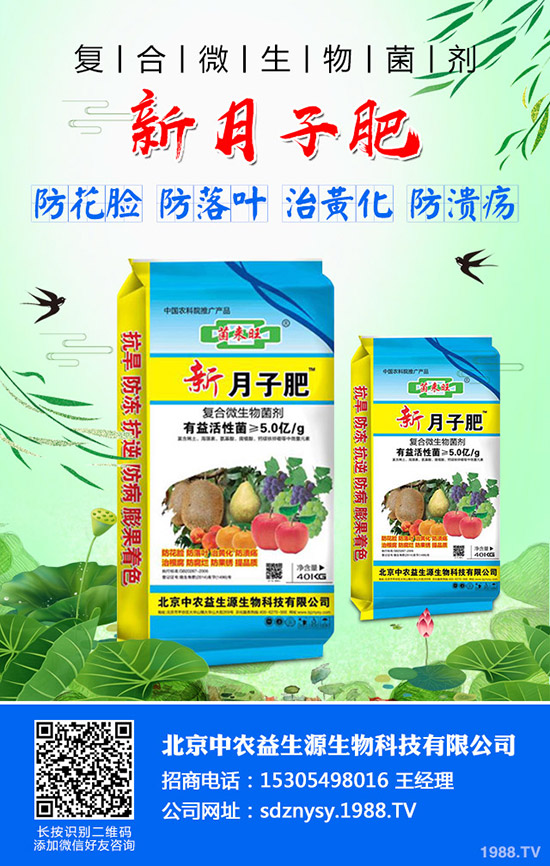     �t��ӭ��(l��i)�������ڣ�2019��ȼt���r(ji��)�������߄�(sh��)��������r��