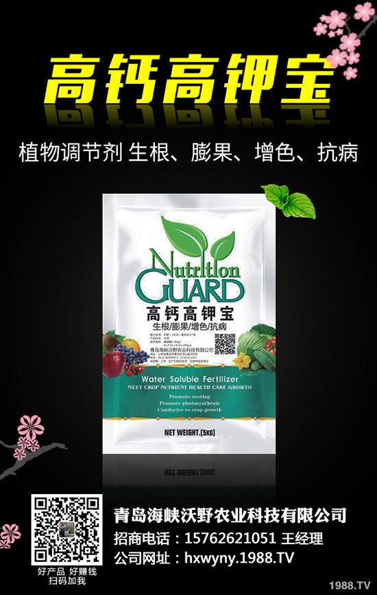 �Ϳ��Nֲǰ��Ҫ�ʂ���Щ�������Ϳ��Nֲ��������Щ��