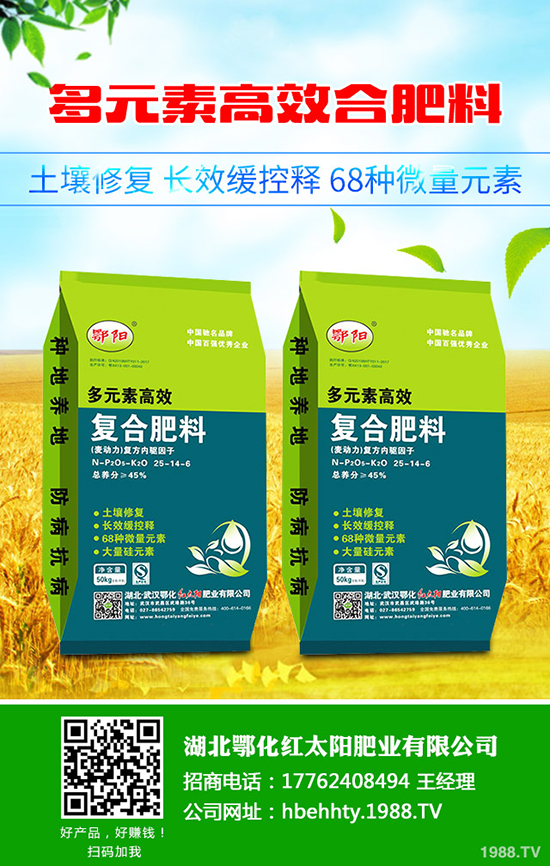 ��Ƥ������ô�N����Ƥ����Nֲ���g����Щ��