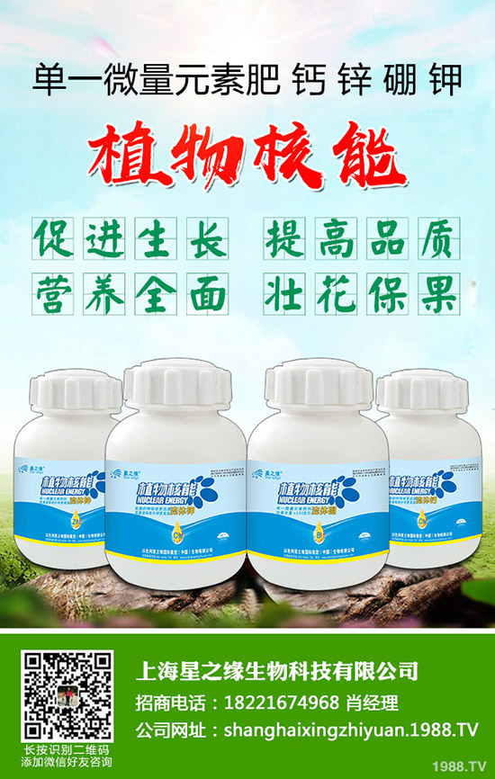 ѿ�����ӷNֲ��ѿ�˷Nֲ���g(sh��)���˽������