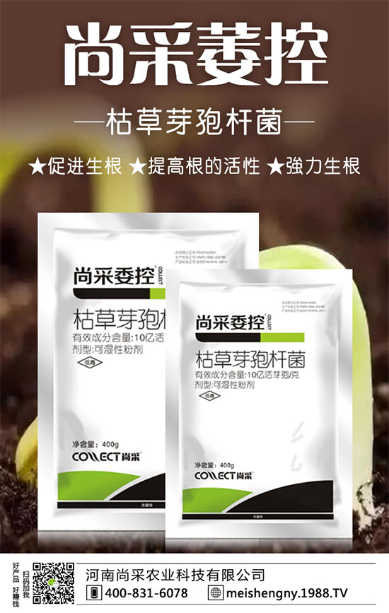 大棚草莓技巧及管理方法,大棚草莓施肥要點(diǎn)!